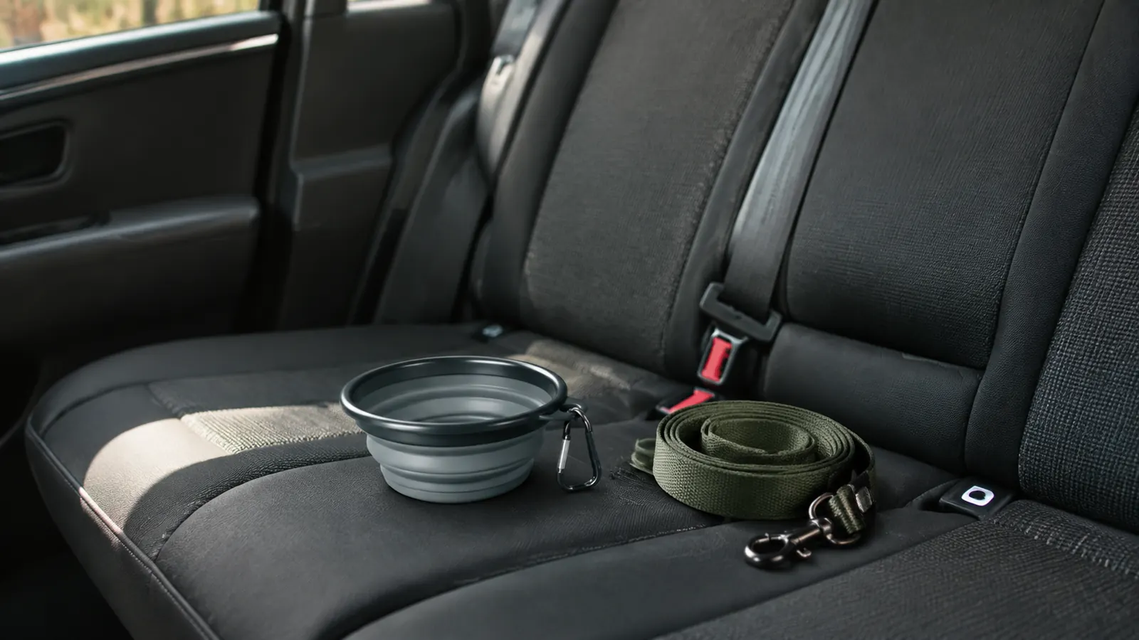A folded collapsible dog bowl rests on a rear car seat beside a leash