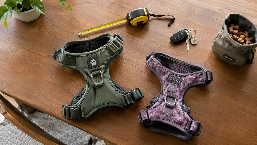 Two dog harnesses lie next to a measuring tape, car keys and a small bag of treats on a kitchen table.